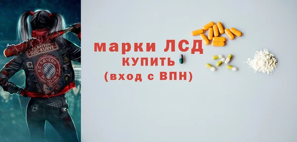 spice Няндома