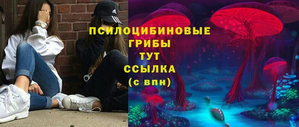 spice Няндома